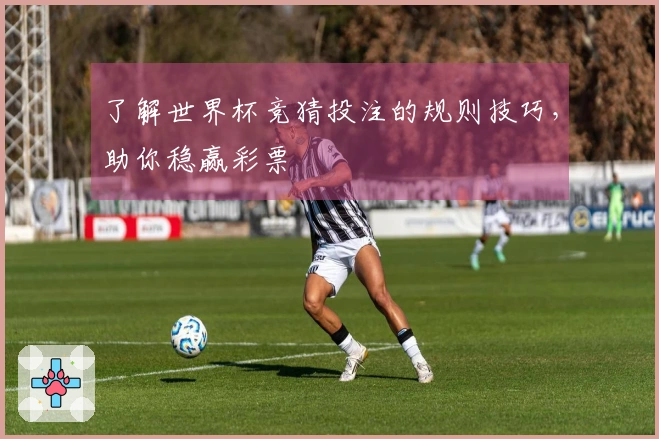 了解世界杯竞猜投注的规则技巧，助你稳赢彩票