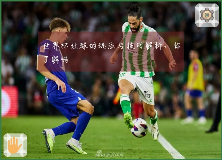 世界杯让球的玩法与技巧解析，你了解吗