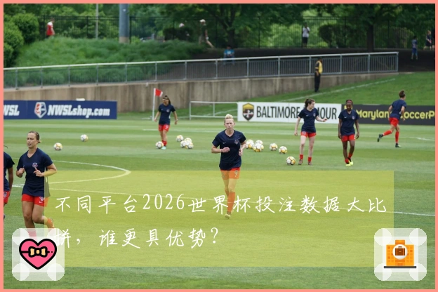 不同平台2026世界杯投注数据大比拼，谁更具优势？