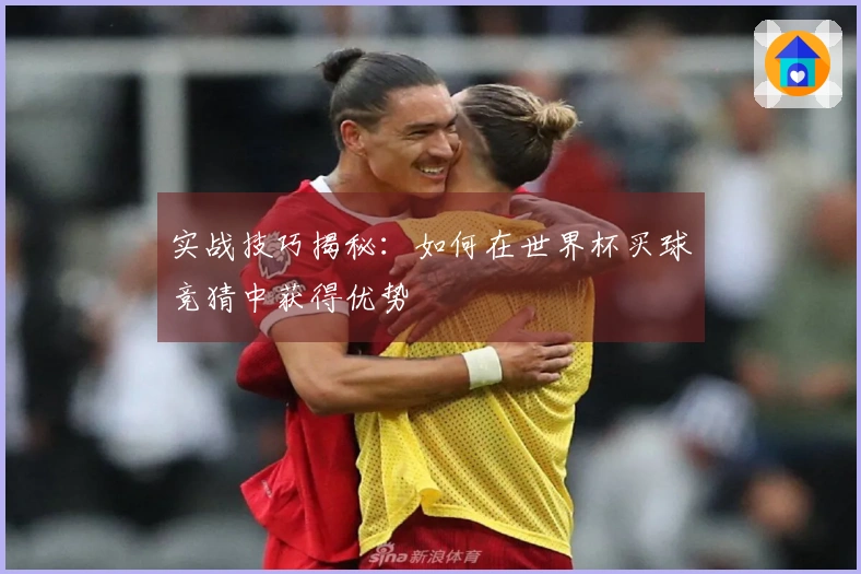 实战技巧揭秘：如何在世界杯买球竞猜中获得优势