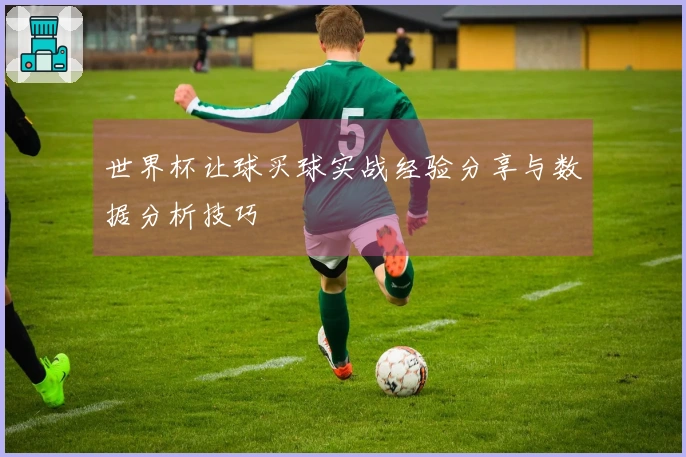 世界杯让球买球实战经验分享与数据分析技巧