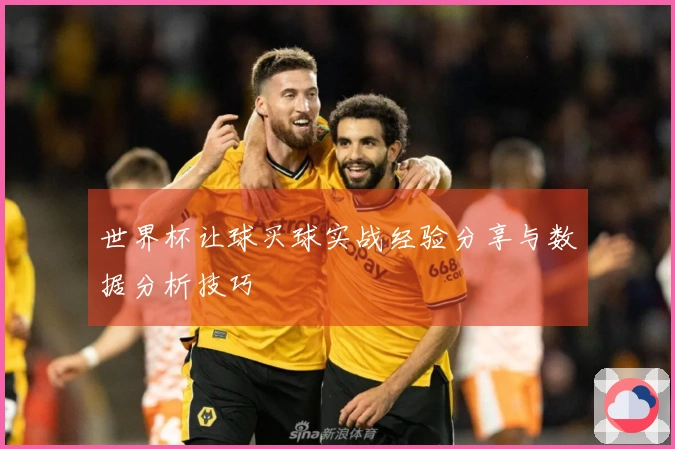 世界杯让球买球实战经验分享与数据分析技巧