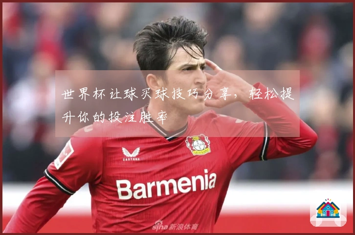 世界杯让球买球技巧分享，轻松提升你的投注胜率