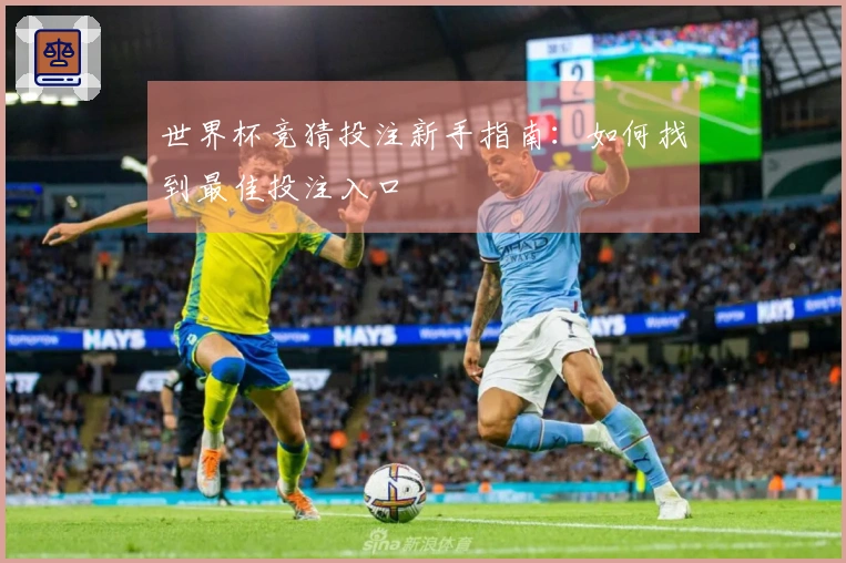 世界杯竞猜投注新手指南：如何找到最佳投注入口