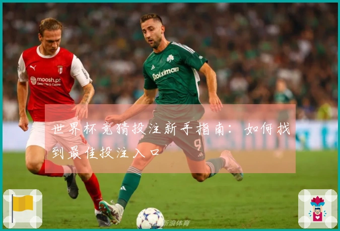 世界杯竞猜投注新手指南：如何找到最佳投注入口