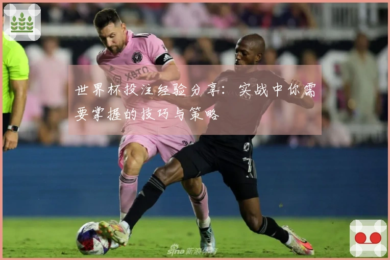 世界杯投注经验分享：实战中你需要掌握的技巧与策略