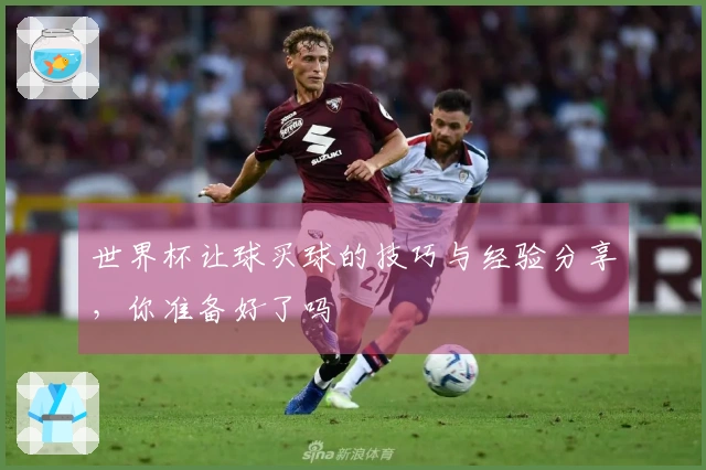 世界杯让球买球的技巧与经验分享，你准备好了吗