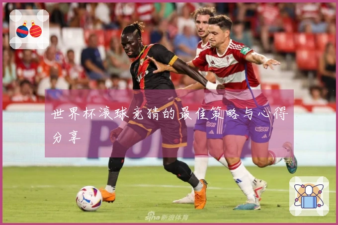 世界杯滚球竞猜的最佳策略与心得分享