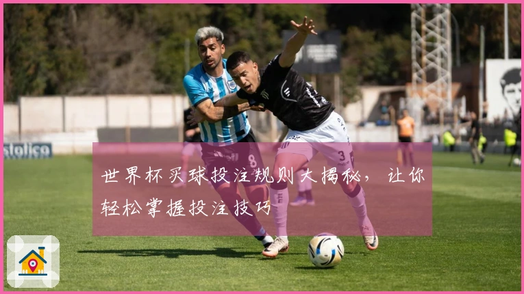 世界杯买球投注规则大揭秘，让你轻松掌握投注技巧