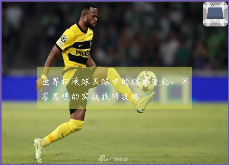 世界杯滚球买球中的赔率变化，不容忽视的实战技巧攻略